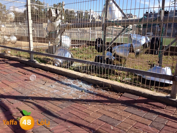 mal3ab baldyd (2).JPG